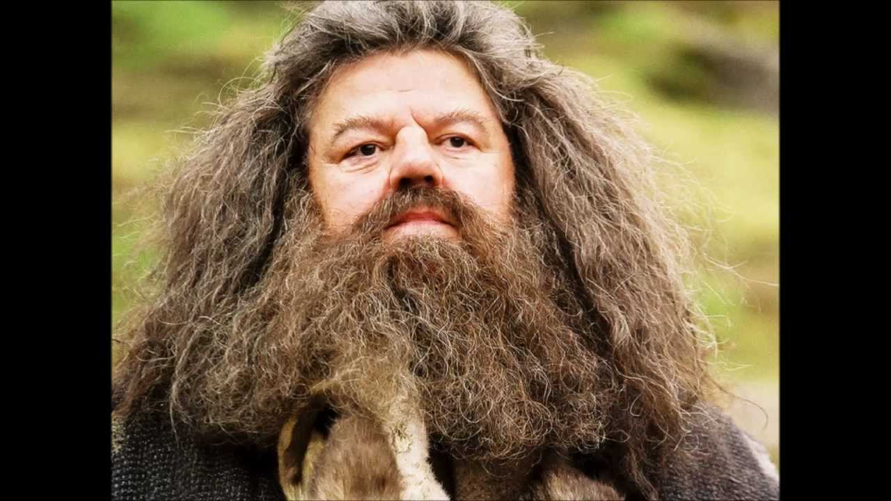 We Let Our Beards Grow Thicker - Jingle Beards 