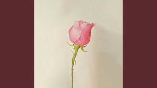 Roses (feat. Al)