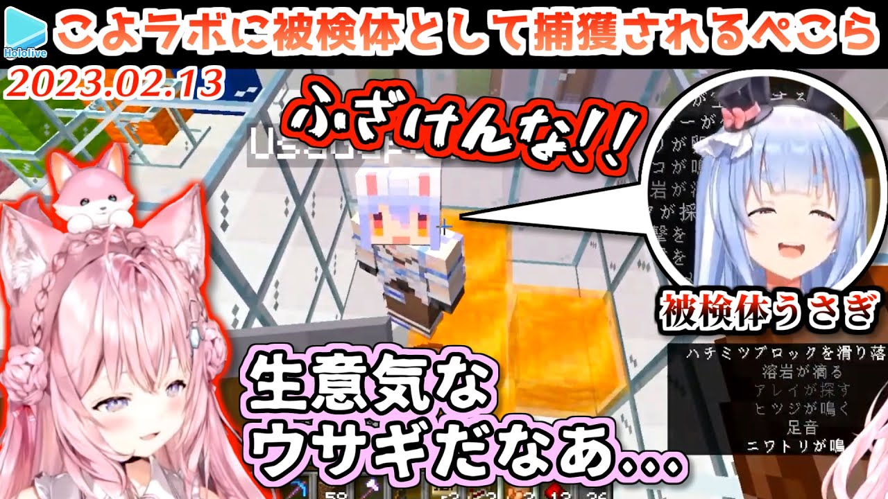 【マイクラ】被検体ぺこらを捕まえるも凶暴すぎて返り討ちに遭うこより【2023.02.13/兎田ぺこら/博衣こより/ホロライブ切り抜き】