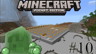 Minecraft PE - Farm de Slime Automática/Manual Máxima Eficiência  - Survival - Gameplay #10