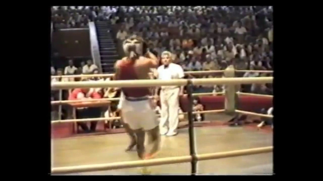 Бокс Шанавазов Нурмагомед Курнявка Андрей - YouTube