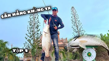 Câu chẽm thiên nhiên 1x tại cà mau