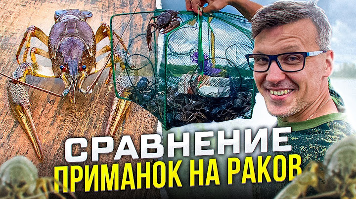 Я В ШОКЕ ОТ РЕЗУЛЬТАТА // сравниваю три приманки для ловли раков
