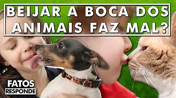 Tem problema deixar o cachorro lamber a boca?