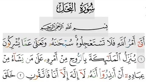 سورة النحل مكتوبة بصوت جميل جدا /surah al nahl