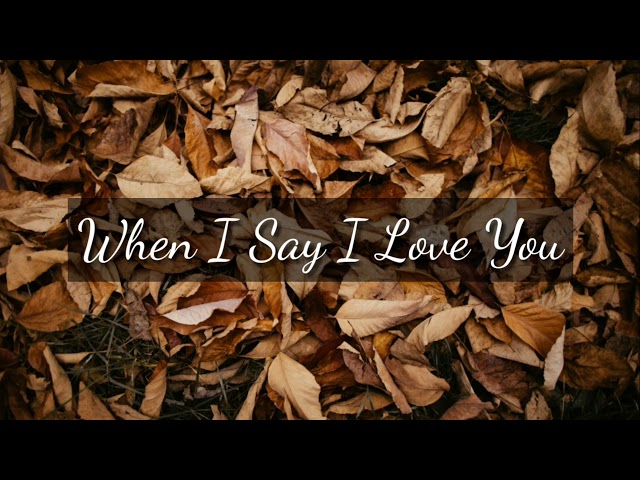 When I Say I Love You Lyrics | Thy Lyrics class=