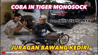 INTIP TIGER HASIL BRAMBANG || BEGINI PROSES BIKIN BAWANG