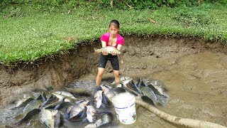 Fishing videos - Harvest Fish, Catch A Lot Of Fish In The Wild Lake - Selling Fish In The Market