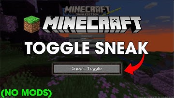 How To Turn On Toggle Sneak in Minecraft (Any Version)