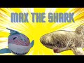 Sia movie max the shark s6 e6