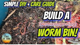 How to build a worm bin {Vermicomposting} | Simple D.I.Y + Care Guide | #wormcompost #vermicompost