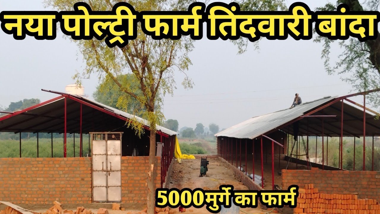 How to make a low cost poultry farm for 5000 chicks#new poultry farm ...