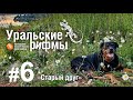 Старый друг | Уральские рифмы 6