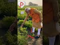 Modi ji enjoy premraj8601