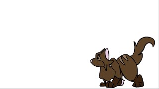 Practice - Cat Jumping Animation Practice