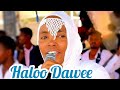 HALOO Dawwee New Oromo Music Ethiopian Cover 
