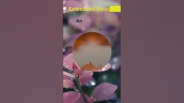 Shared Vs Embedded Dataset SSRS | SSRS for beginners | SSRS Tutorials