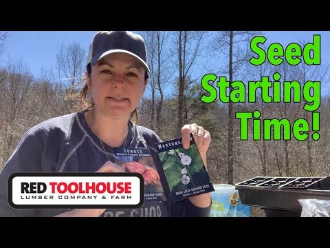 Starting seeds inside