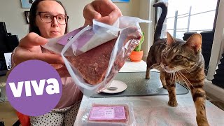 Viva Raw has a NEW protein for cats