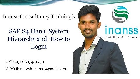 SAP S4 Hana System Hierarchy and How to Login