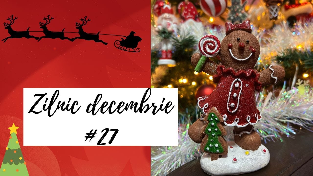 Zilnic decembrie #27 Ultimele cadouri pe anul acesta