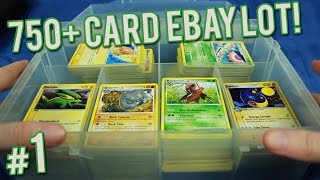 Pokemon Cards - 750  Card eBay Lot | PART 1 of 6