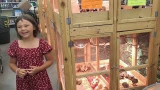 Bomgaars Chick Visit