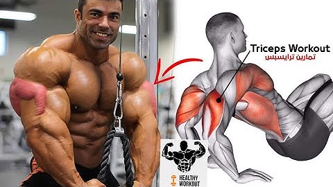 6 Tricep Exercises for Bigger Arms don