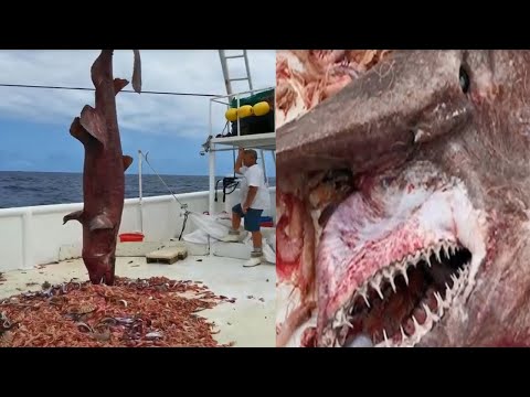 Fisherman Catches One Of The Most Terrifying Creatures Of All Time