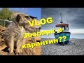 Как зоопарк пережил карантин и как дела у рыбаков.