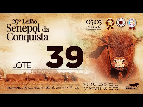 LOTE 39 CONQ 2583