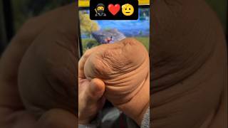 Wait Boomrerorgaming shorts