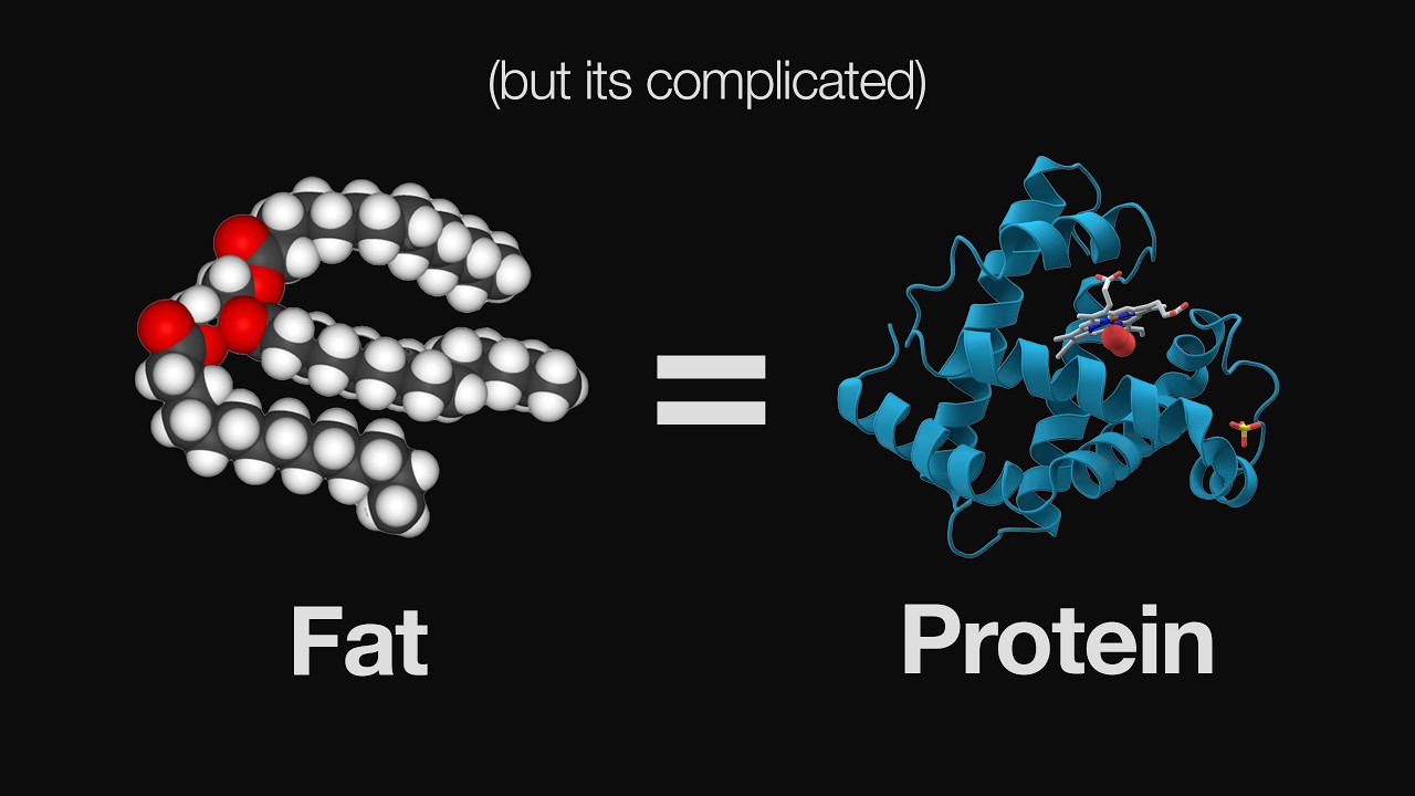 Fat and Protein is Basically The Same