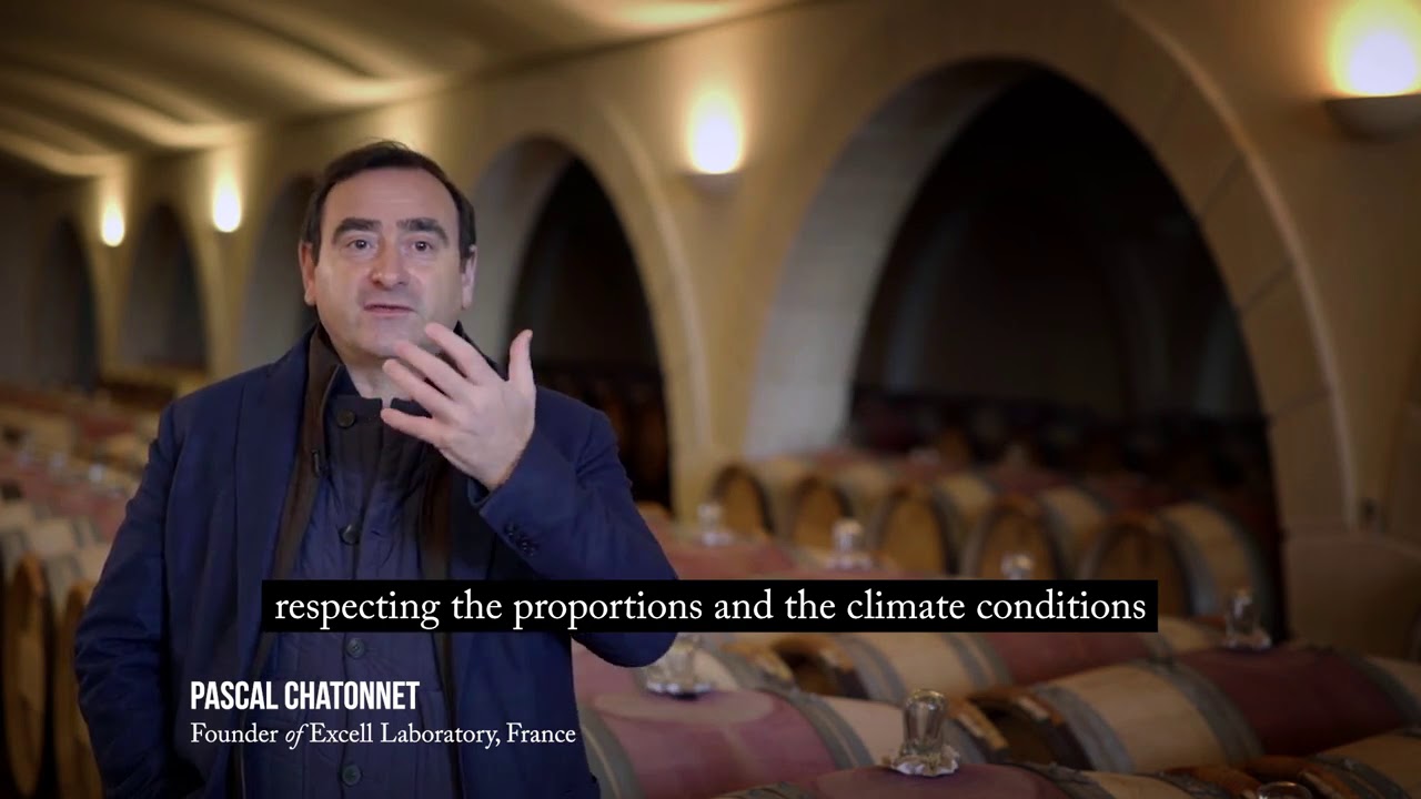 BORDEAUX 2050, The Wine from the Future