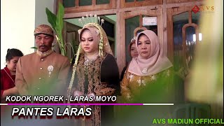 PANGGEH KODOK NGOREK LARASMOYO I  WAWAN RISKA PANTES LARAS ZACK SAMPOERNA N3 AVS MADIUN