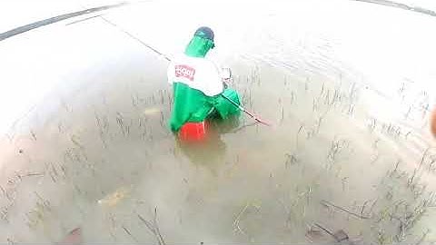 Câu cá mùa nước ngập Chỉ một chữ "Móm". #127