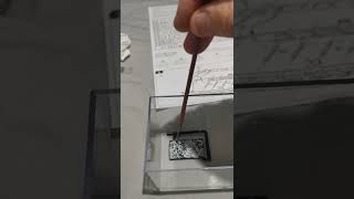 Ho Scale Lokomotive Br 50. Deutsche Bundesbahn. 187 Italeri Model Kit. Series Build. Update 2.