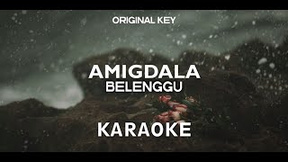 AMIGDALA - BELENGGU KARAOKE,, INSTRUMENT COVER