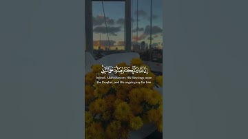 القارئ هزاع البلوشي: ان الله وملائكته يصلون على النبي 💛 اجمل حالات واتساب دينيه