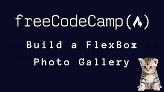 freeCodeCamp - Build a Flexbox Photo Gallery