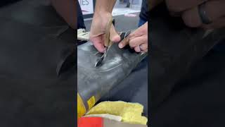 Xshear Trauma Shears