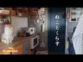 朝ごはんから始まる猫との日常/慌ただしい日々の中の癒しと購入品/niji cafe☕️🍰【猫と暮らしのvlog】