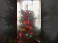 Merry Christmas from the Goode's - George the Tree Topper