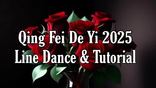QING FEI DE YI 2025 - Line Dance (Dance & Tutorial)