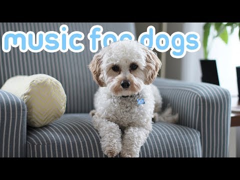 15-hours-of-deep-soothing-anxiety-music!-helped-over-10-million-dogs!-new!