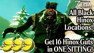 How To Get Hinox Guts - 16 In One Sitting! All Black Hinox Locations - Zelda Tears of the Kingdom