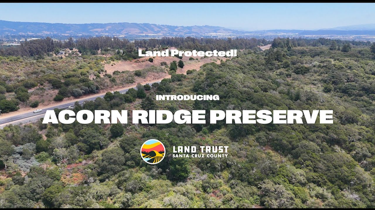 Acorn Ridge Layout Land Protected: Introducing Acorn Ridge Preserve! - YouTube