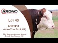 Lot 43 ardno titan t413 pp