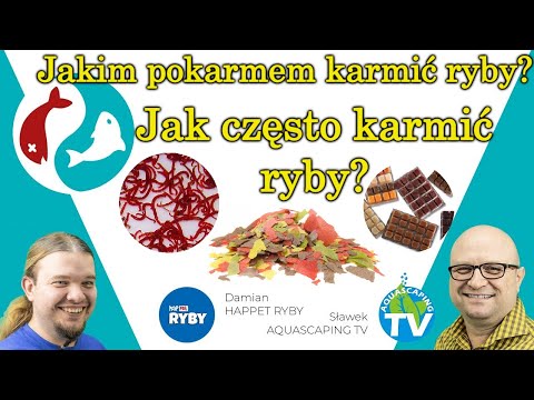 Wideo: Czy Hałas Aeratora Przeszkadza Rybom Akwariowym?