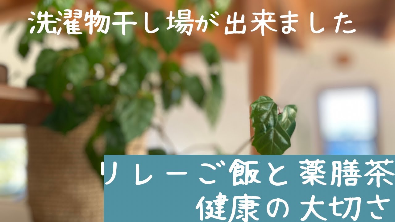 洗濯もの干し場完成/春を探しに/靴下のダーニング/薬膳茶と身体を温める事の大切さ